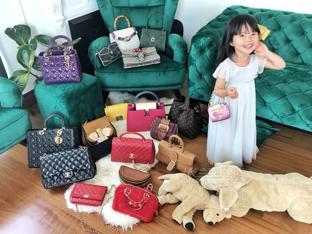 家庭主婦10個奢侈品包實用測評集合買包圣經(jīng)！吐血分享！ 真理其他