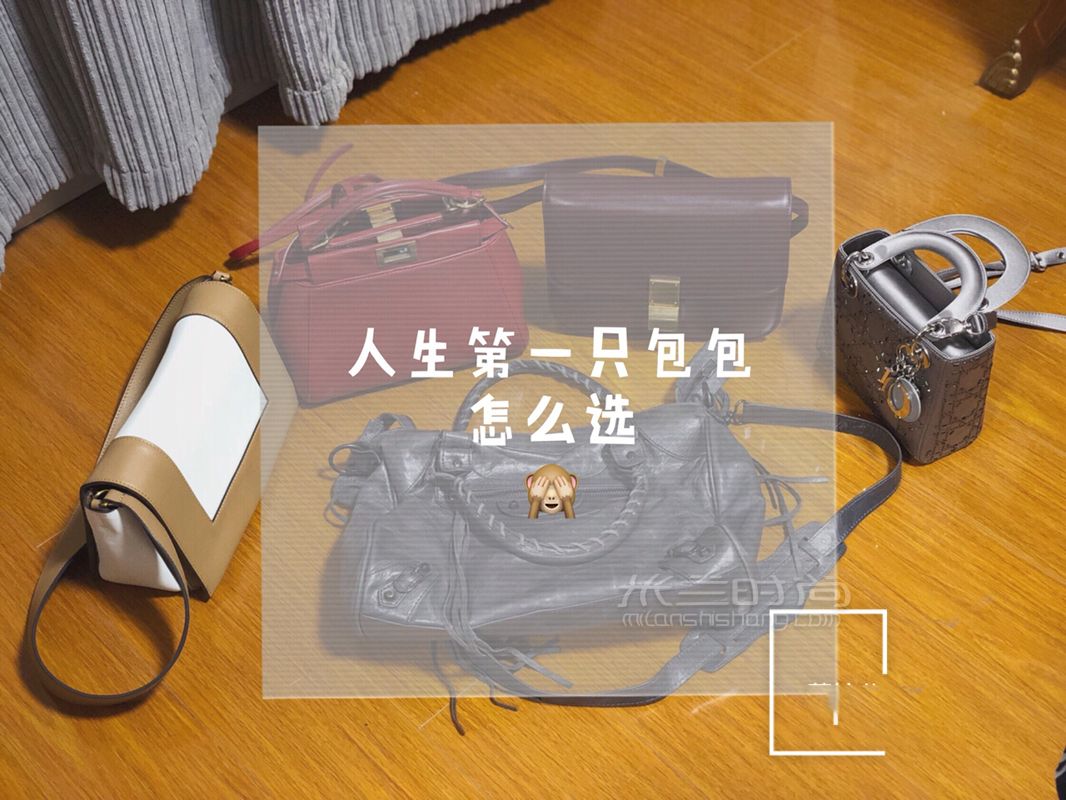 奢侈品入門幫你選人生第一只大牌包包其他