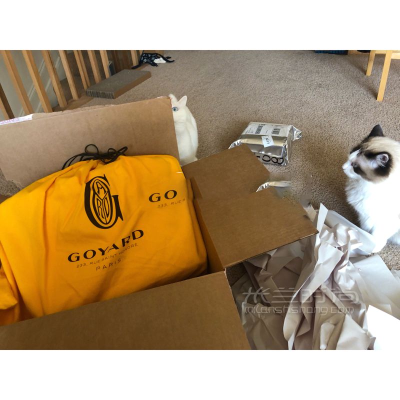 Goyard 高雅德 artois 拉鏈款黃色購物袋大號 狗牙的這款包我覺得真的是Tote (4)