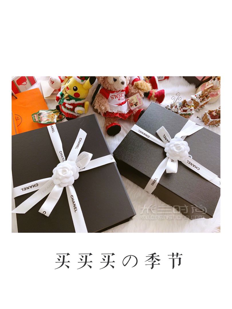 【Chanel】2019春夏最火珍珠包淺米色中號 (5)