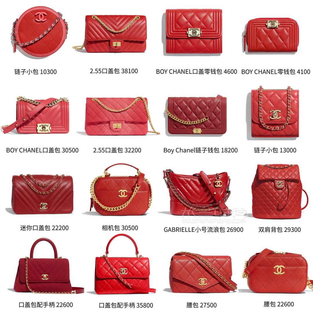天啦嚕Chanel包包2019春夏新款太美了 (2)