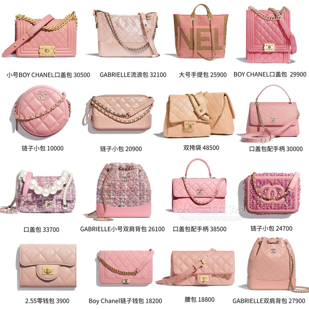 2019Chanel新款包包太驚艷了 (3)