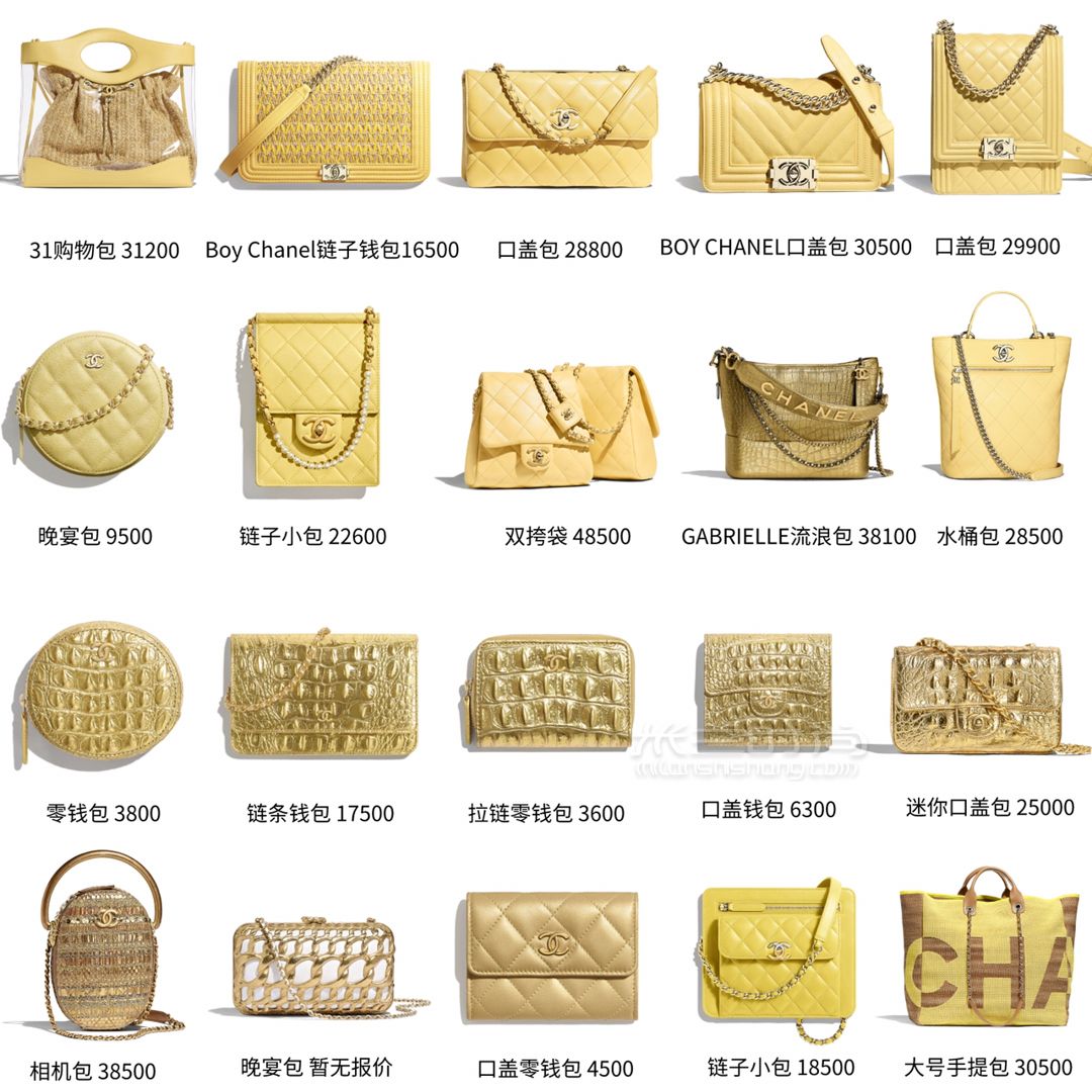 2019Chanel新款包包太驚艷了 (2)