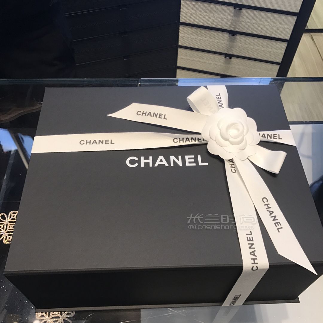 Chanel香奈兒 早秋新款Flapbag風(fēng)琴包 (3)