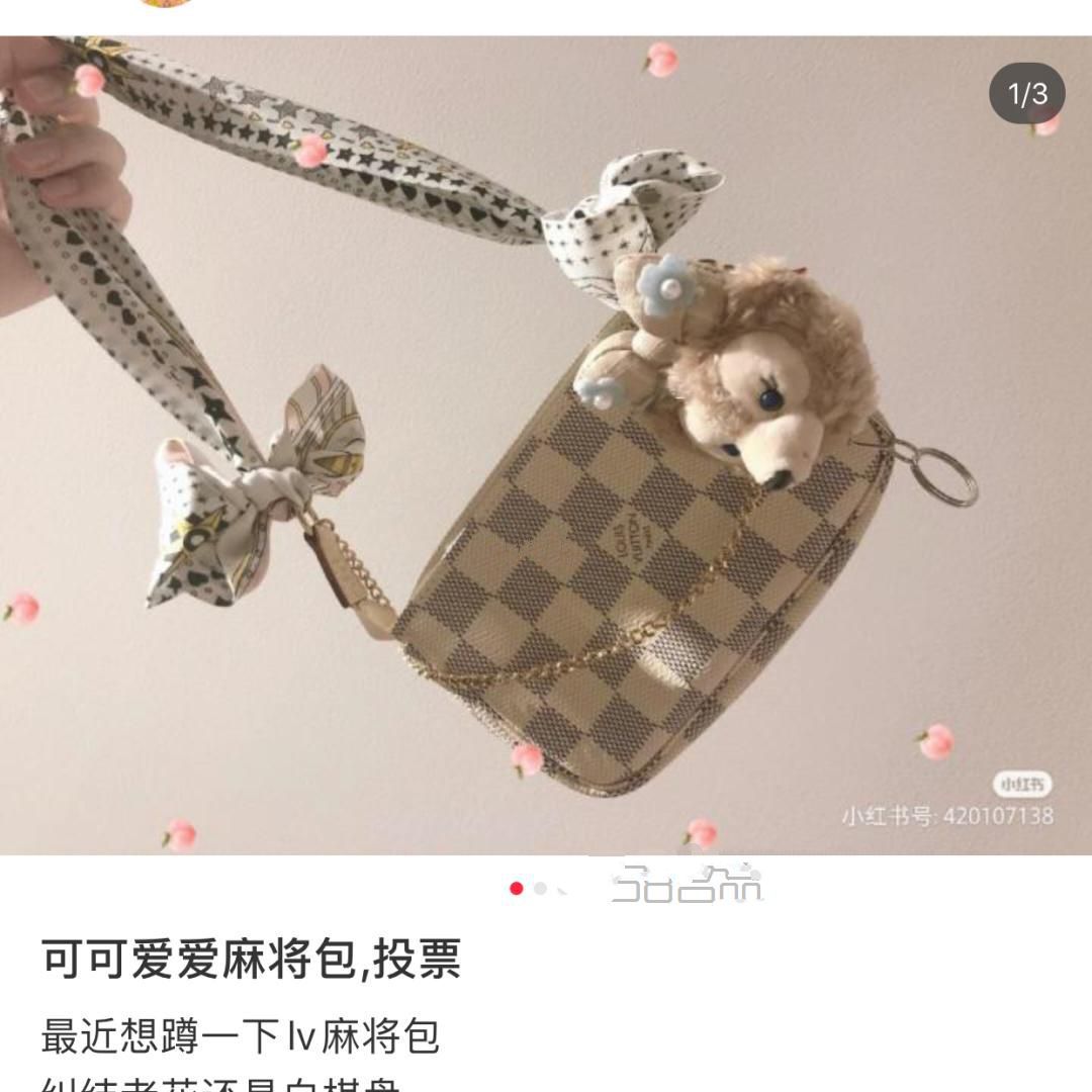 2000出頭的 “買到的LV ——麻將包”容量測試,怎么查lv包的型號_7