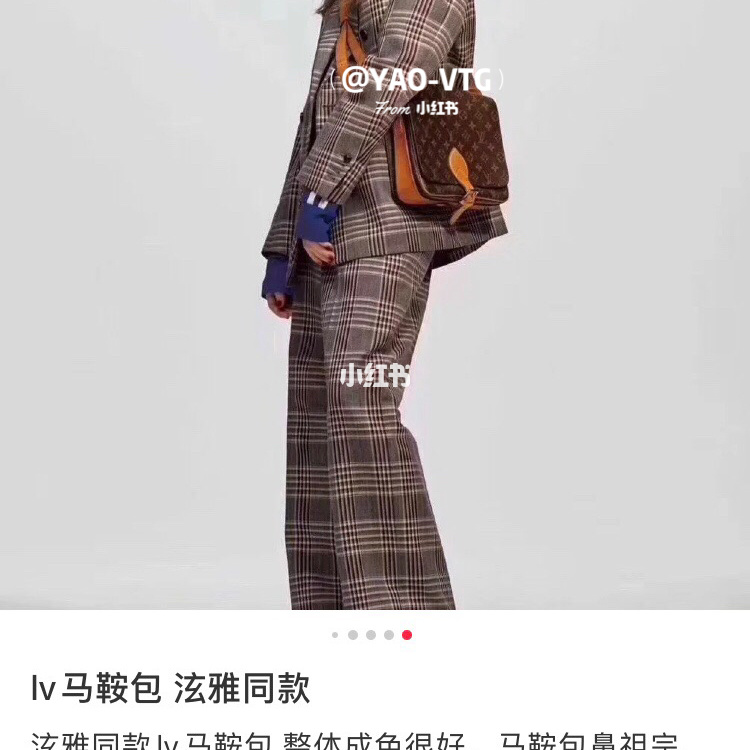 LV 老花大號馬鞍包 泫雅同款,lv33彩包louis vuitton_9