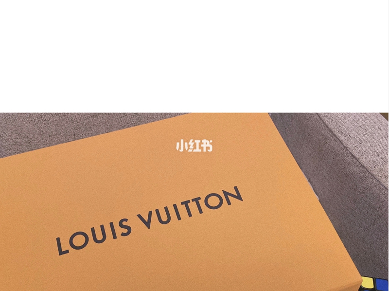 LV薯條包,為什么lv灰格花紋便宜_5