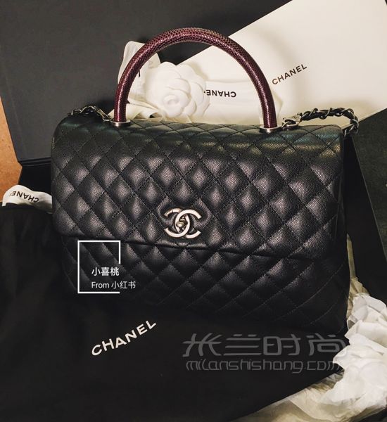 中號(hào)Chanel Coco Handle蜥蜴皮手柄_2
