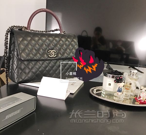 中號(hào)Chanel Coco Handle蜥蜴皮手柄_3