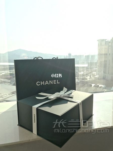 Chanel coco handle 抹茶綠 紀念一下人生中第一個chanel_3