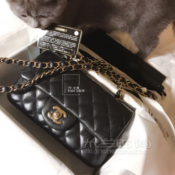香奈兒 Chanel CF大Mini 上身圖_1