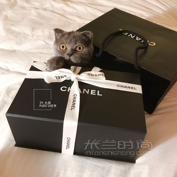 香奈兒 Chanel CF大Mini 上身圖_8