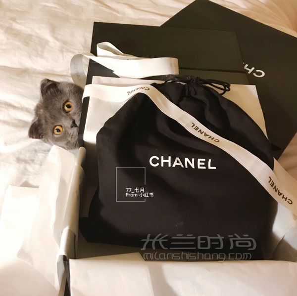 香奈兒 Chanel CF大Mini 上身圖_7
