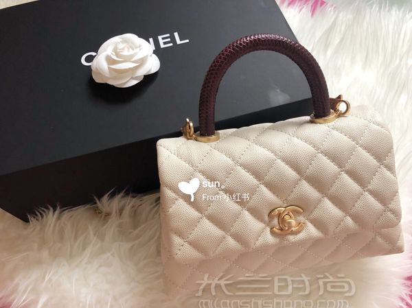 香奈兒 Chanel coco handle 乳白色 蜥蜴手柄 金扣 小號_2