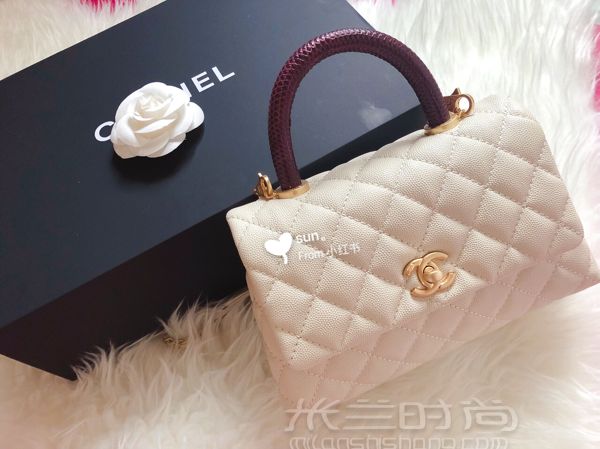 香奈兒 Chanel coco handle 乳白色 蜥蜴手柄 金扣 小號_1