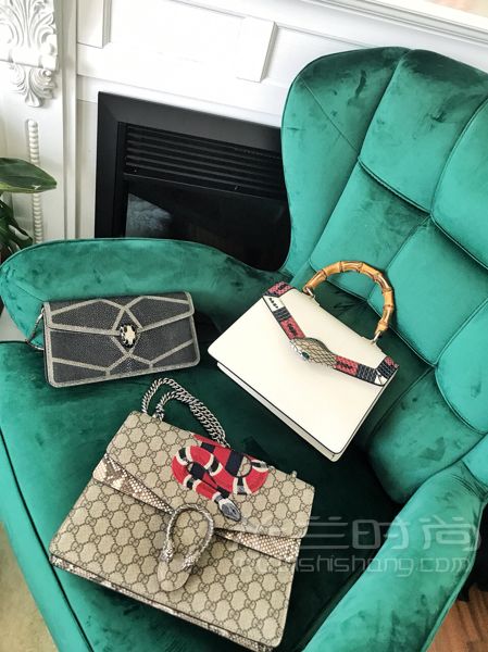 家庭主婦10個(gè)奢侈品包實(shí)用測評集合買包圣經(jīng)！吐血分享！ 真理_3