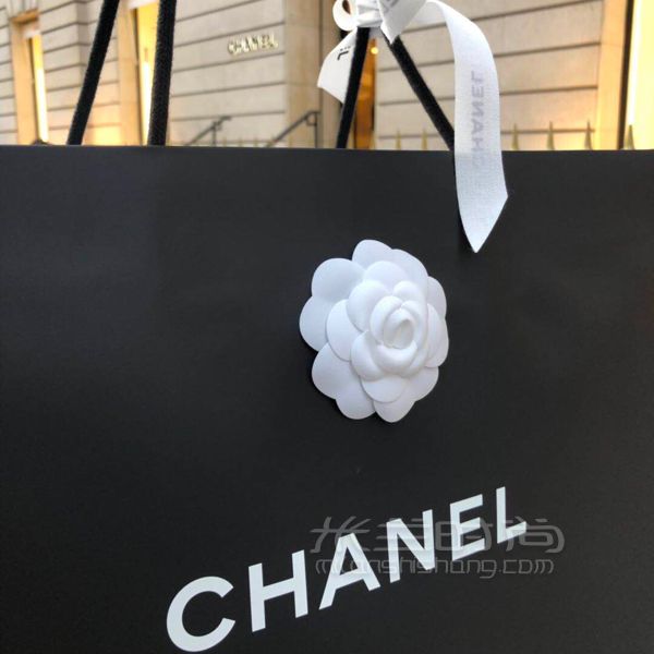 深夜剛喜提全亞洲第一只Chanel2019灰色大號口蓋包。原來看中Coco handle_8