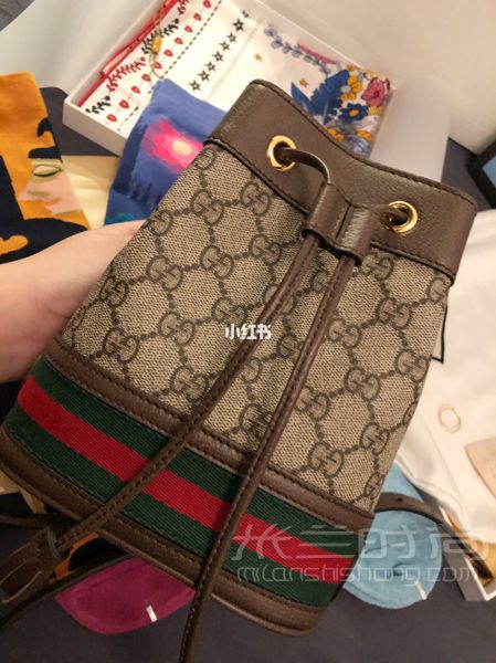Gucci 2019年春夏新款小水桶包 昨天跟朋友看了展意猶未盡想去看各種品牌的1_2