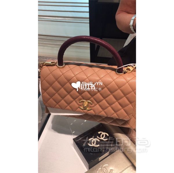 Chanel coco handle 中號 蜥蜴手柄_3