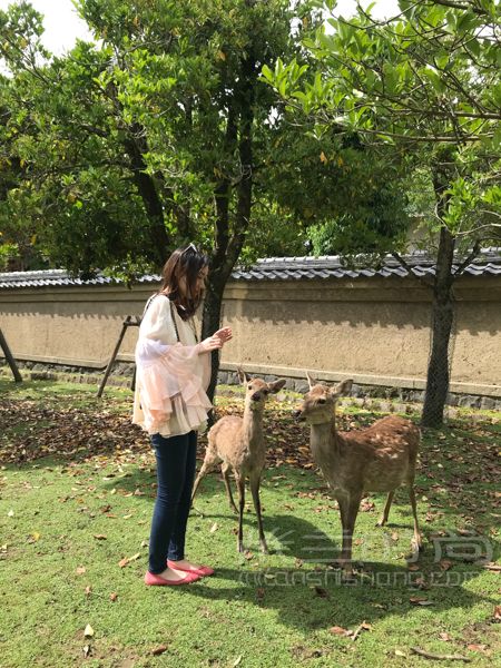 25歲第一個(gè)chanel香奈兒流浪包香港銅鑼灣時(shí)代廣場(chǎng)_7