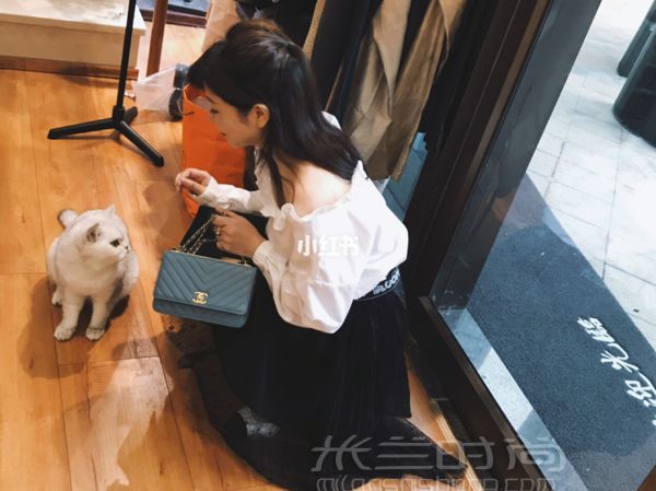 深圳  一家貓咪當(dāng)?shù)觊L(zhǎng)的中古店（超多Chanel_9