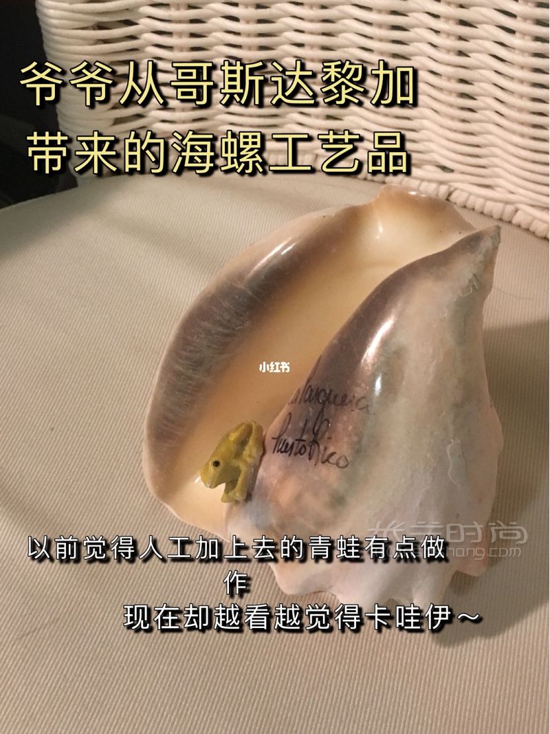學(xué)習(xí)打卡84+ 生活中一些給我動(dòng)力的美好事物_4
