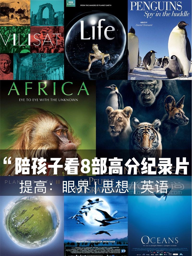 關(guān)掉動畫最值得和孩子一起看的紀錄片_1