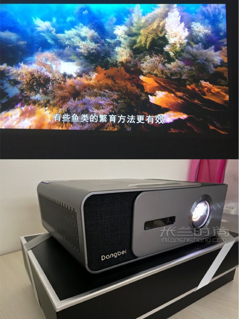 關(guān)掉動畫最值得和孩子一起看的紀錄片_2