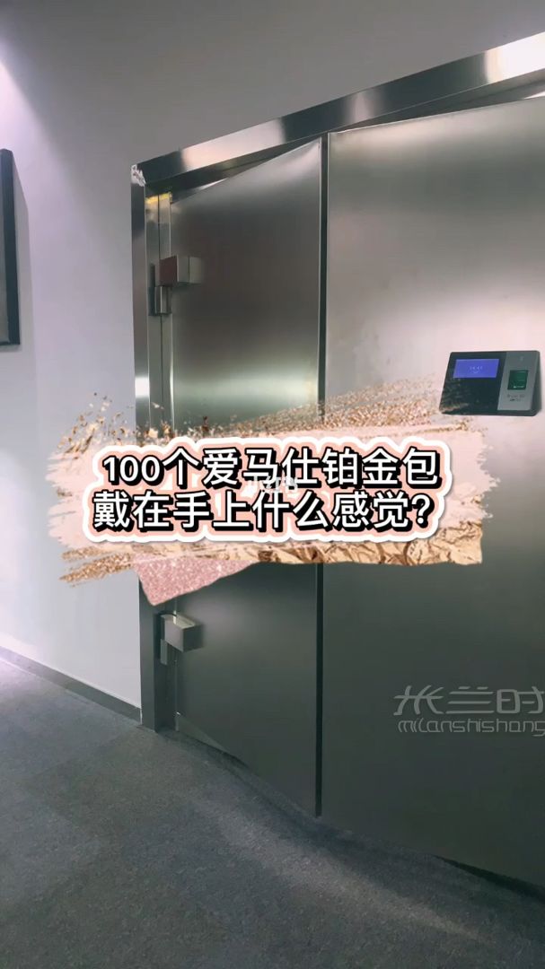 100個愛馬仕鉑金包戴在手上什么感覺？_1