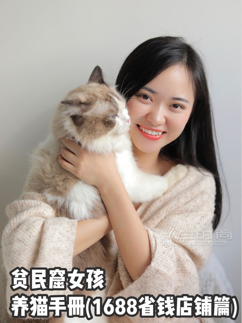 貧民窟女孩2元買逗貓棒1688寶藏店鋪分享_1