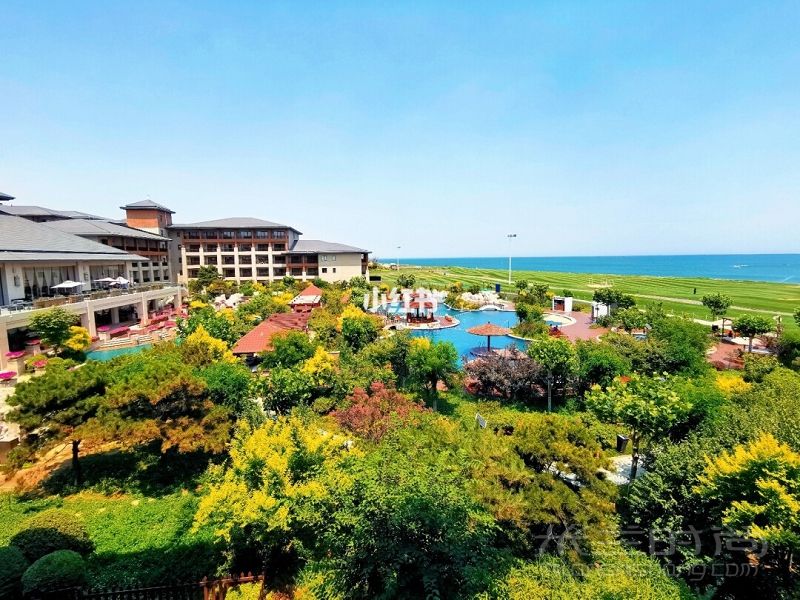 北戴河阿爾卡迪亞的遛娃之旅 拍照北戴河區(qū)榮盛阿爾卡迪亞度假店_8