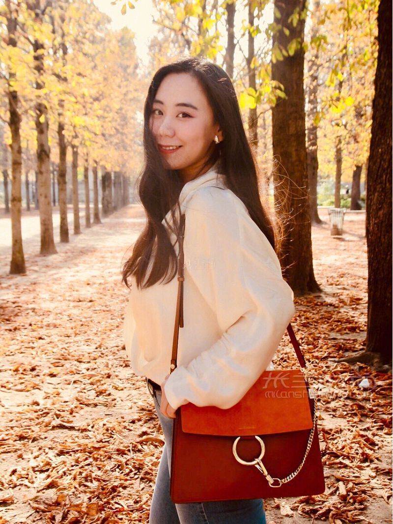 蔻依Chloe faye大號(hào) shoulder bag halo焦糖咖啡館_3
