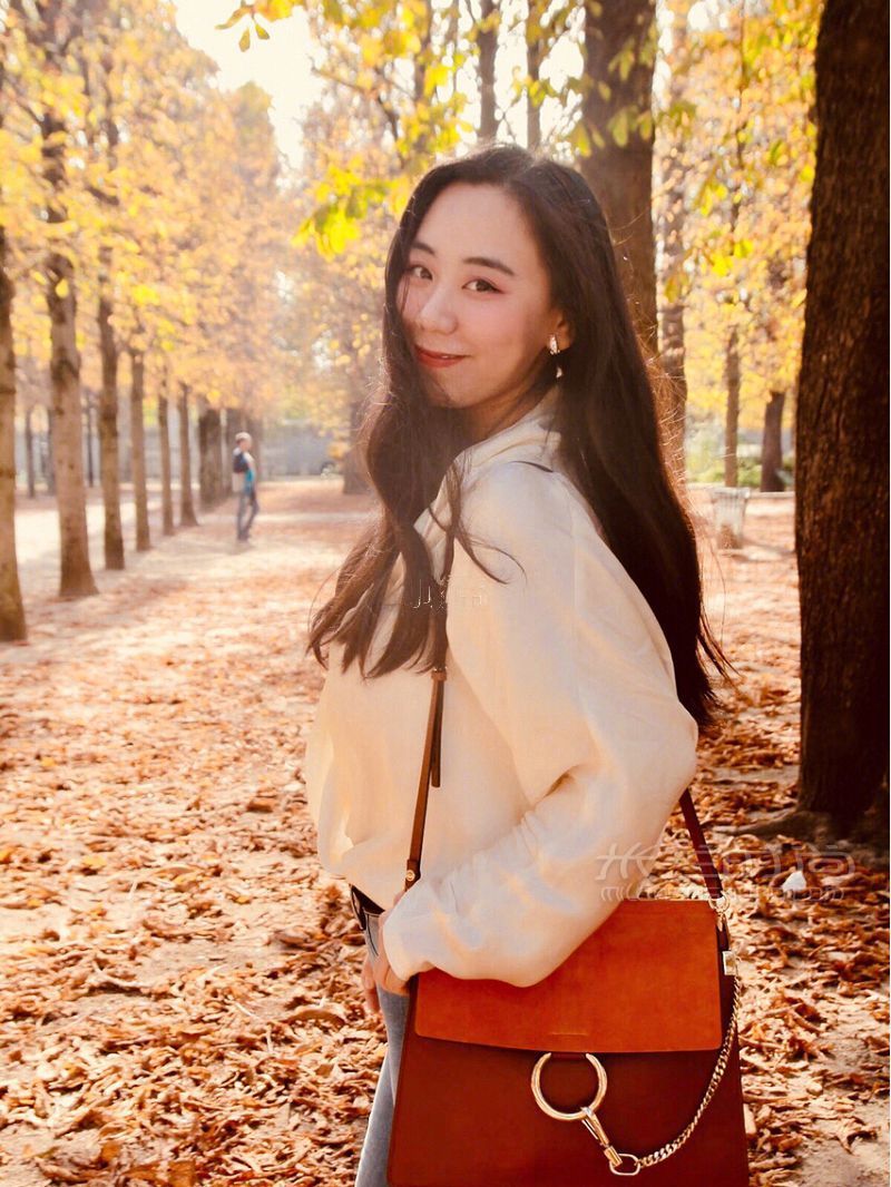 蔻依Chloe faye大號(hào) shoulder bag halo焦糖咖啡館_2