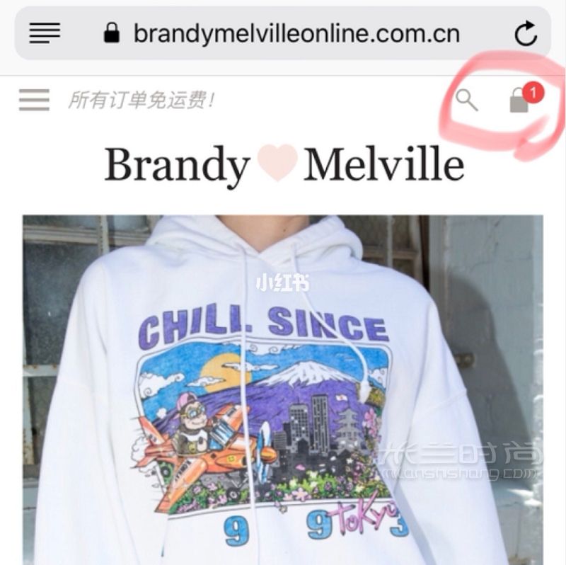 BrandyMelville中國官網(wǎng)全程指南_4