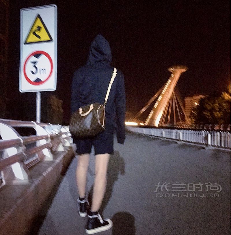 speedy30 路易威登 Louis Vuitton LV枕頭包 路易威登怎么樣_1