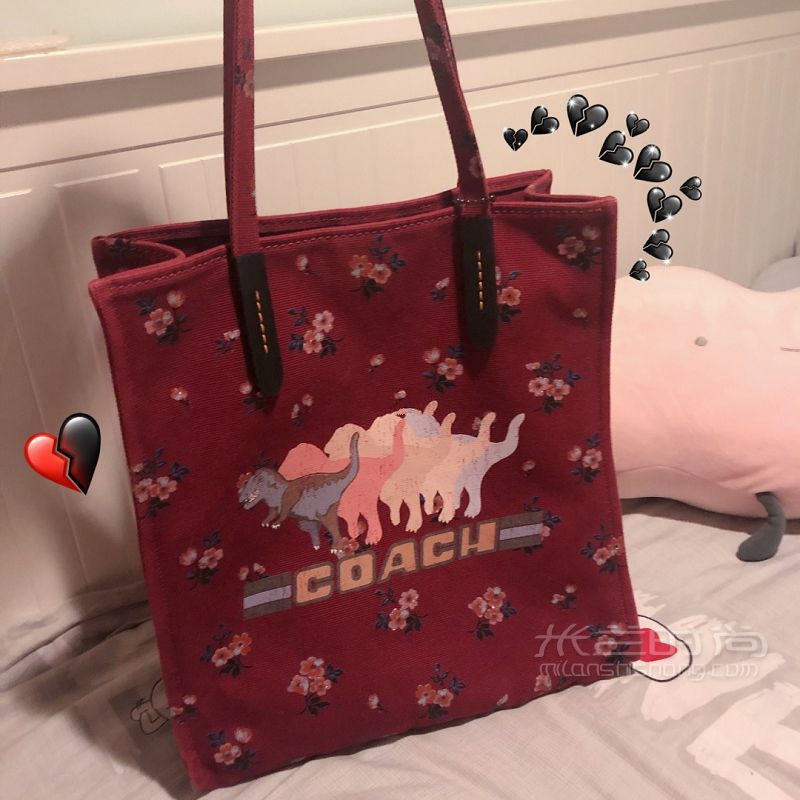 19歲大學生的可愛包包 蔻馳怎么樣_3