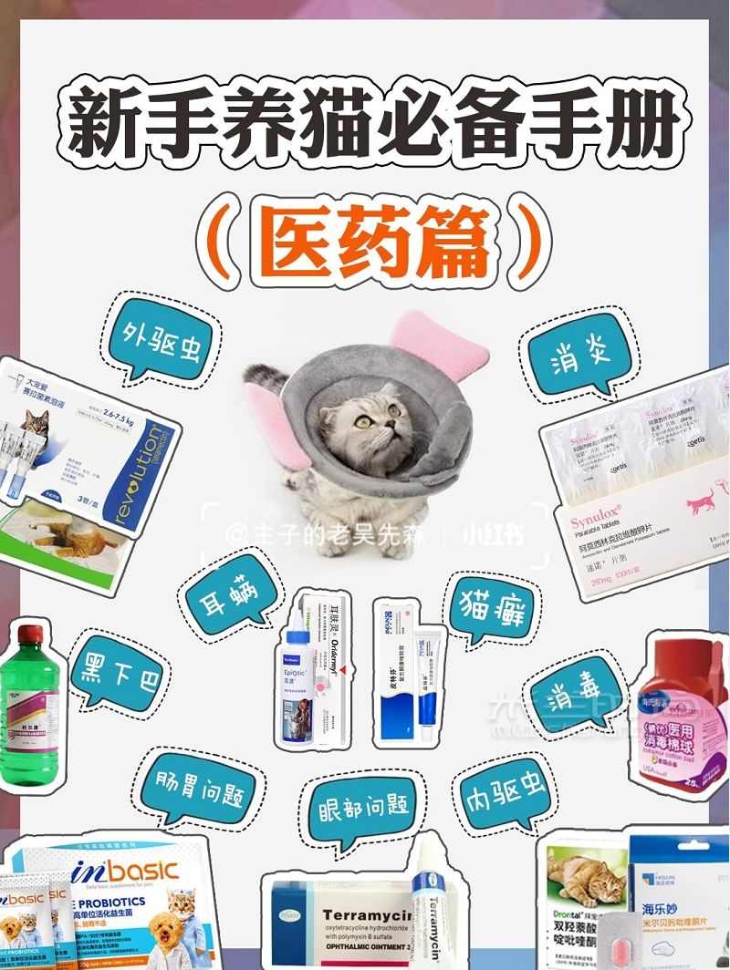 貓咪用品（醫(yī)藥篇）新手養(yǎng)貓必備養(yǎng)貓攻略_1