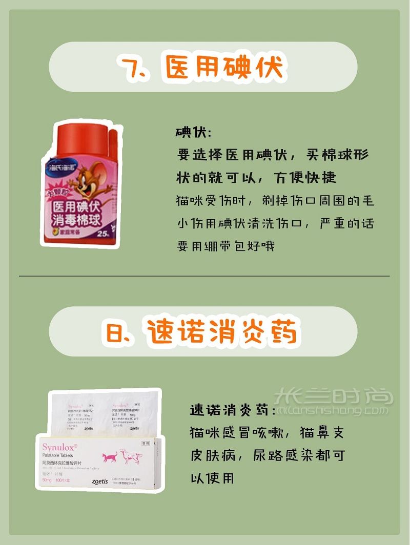 貓咪用品（醫(yī)藥篇）新手養(yǎng)貓必備養(yǎng)貓攻略_5