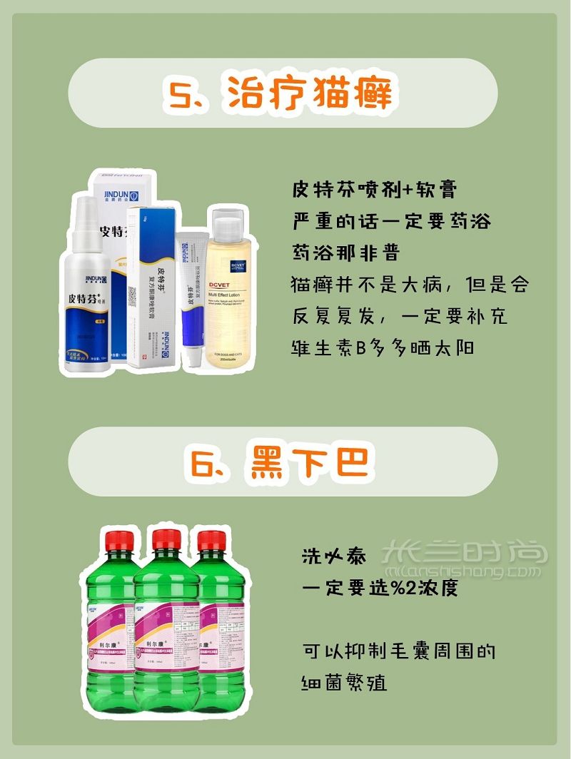 貓咪用品（醫(yī)藥篇）新手養(yǎng)貓必備養(yǎng)貓攻略_4