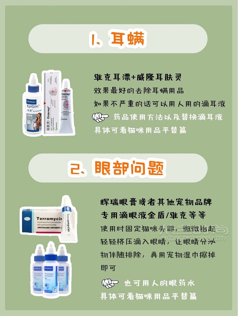 貓咪用品（醫(yī)藥篇）新手養(yǎng)貓必備養(yǎng)貓攻略_2
