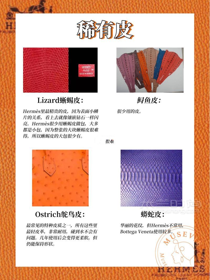 貴婦必備愛馬仕皮質(zhì)科普大全_7
