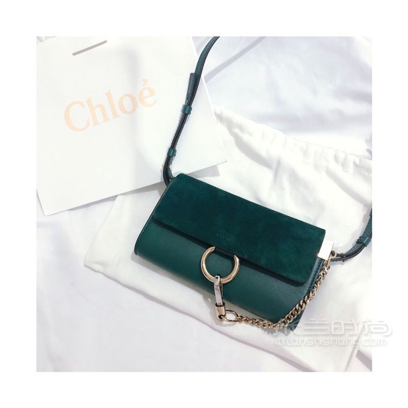 兩款輕奢小包包Gucci Chloe怎么選？蔻依怎么樣_4