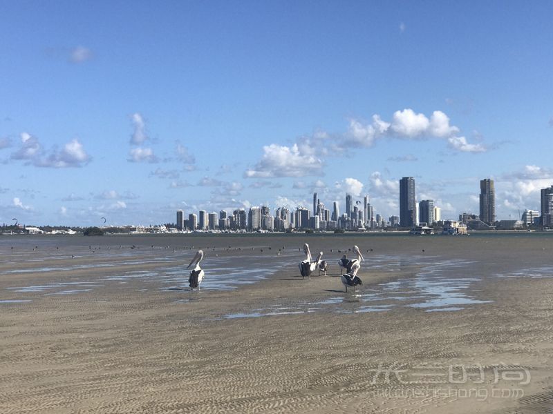 澳洲黃金海岸旅游攻略-澳洲景點(diǎn)-澳大利亞海洋公園_5