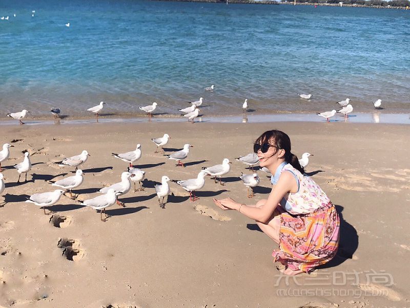 澳洲黃金海岸旅游攻略-澳洲景點(diǎn)-澳大利亞海洋公園_2