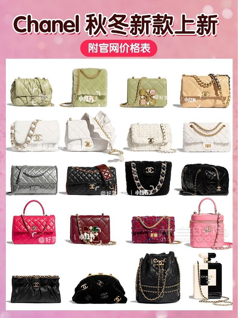 Chanel2020秋冬新款包  附官網(wǎng)價格_1
