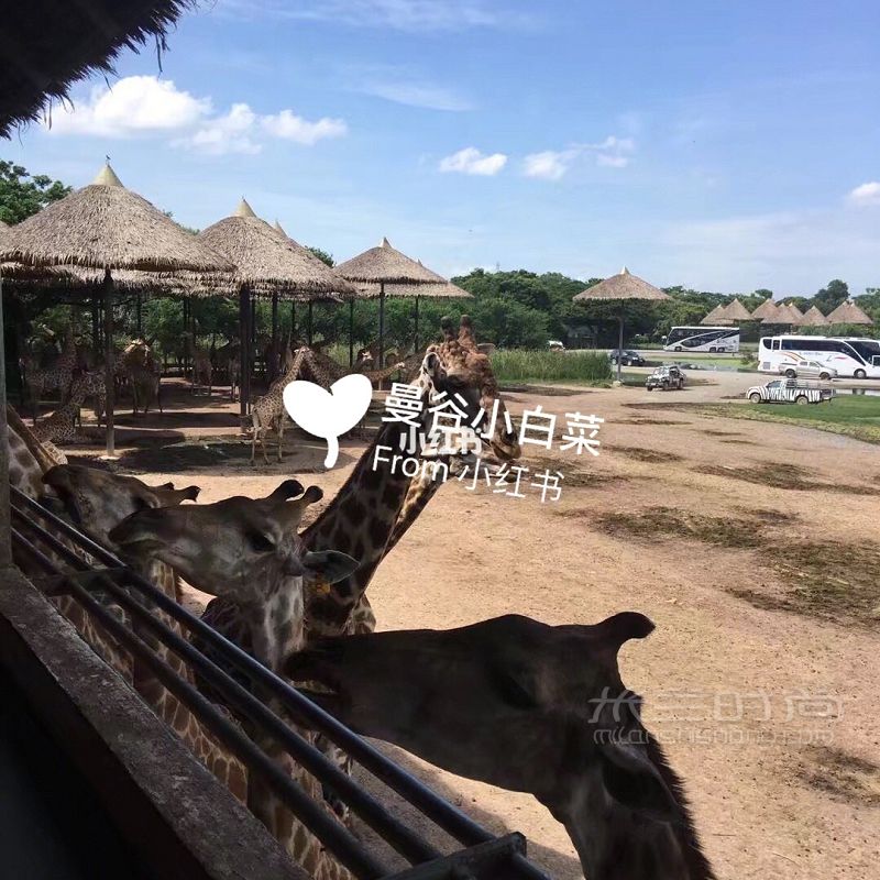 泰國旅游必備 泰國買什么 泰語必備單詞_9