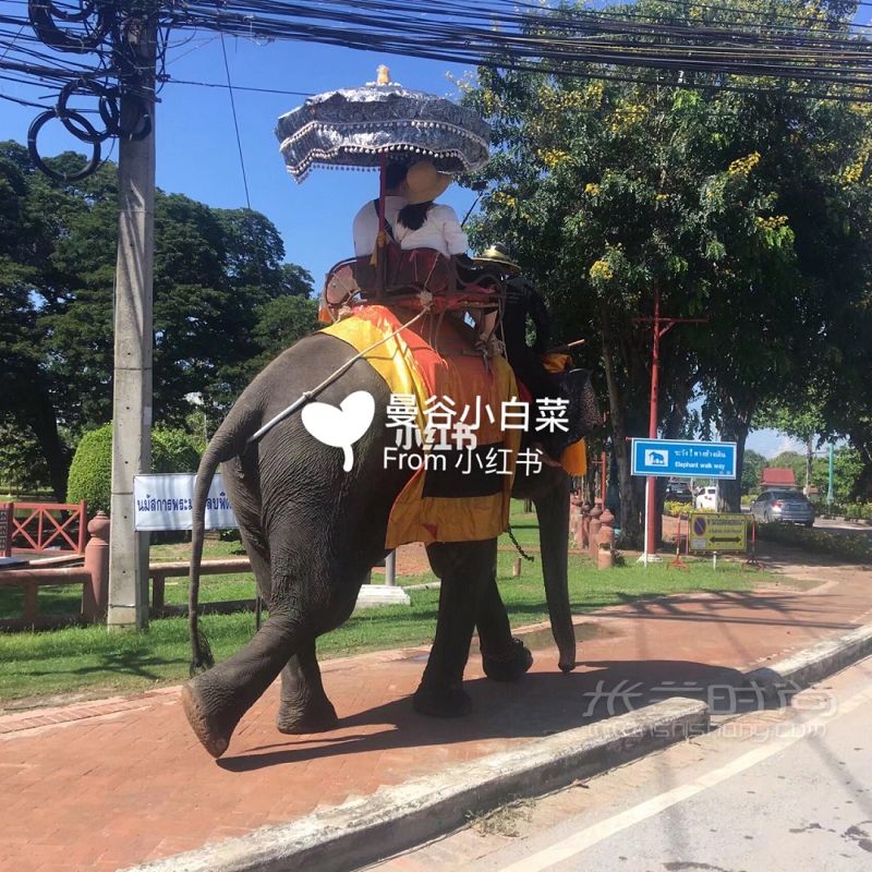 泰國旅游必備 泰國買什么 泰語必備單詞_7
