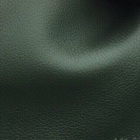 Hermes 愛馬仕包包皮質(zhì)大全_4