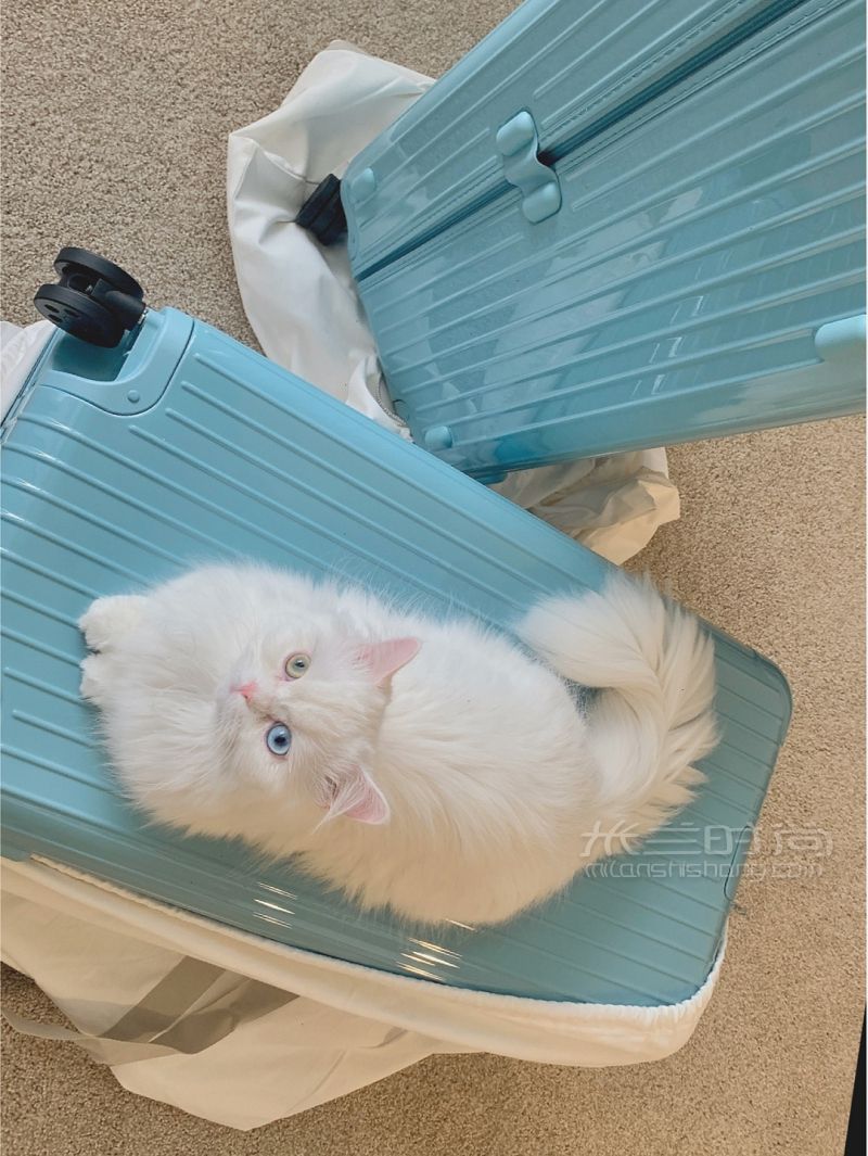 Rimowa冰川藍(lán) Trunk Plus-RIMOWA怎么樣_2