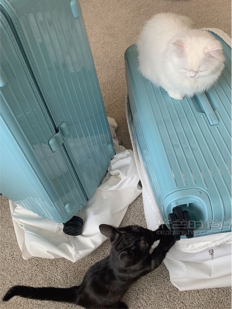 Rimowa冰川藍(lán) Trunk Plus-RIMOWA怎么樣_6